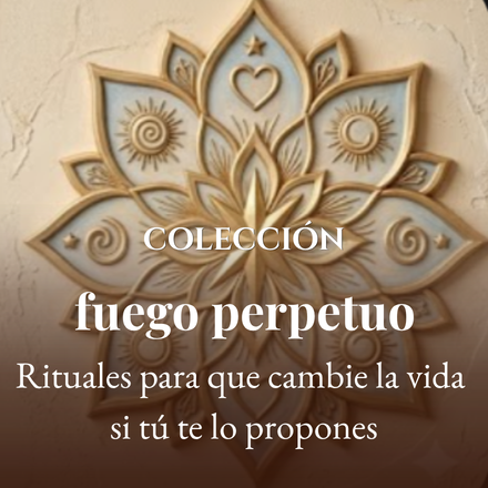 categorias web